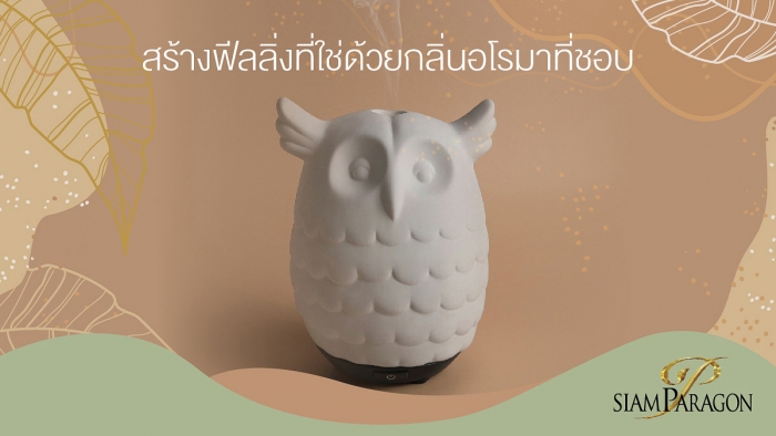 สร้างฟีลลิ่งที่ใช่ ด้วยกลิ่นอโรมาที่ชอบ