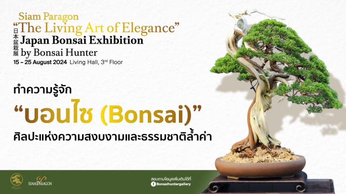 เรื่องราวเบื้องลึกล้ำค่าของ “บอนไซ  (Bonsai)” ศิลปะร่วมสร้างจากธรรมชาติ มนุษย์ และกาลเวลา ที่สุดของประสบการณ์ที่คุณไม่ควรพลาดด้วยประการทั้งปวง
