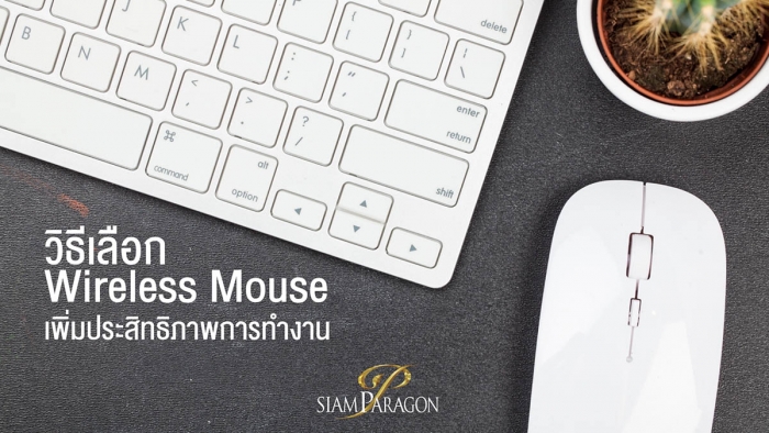 วิธีเลือก Wireless Mouse เพิ่มประสิทธิภาพการทำงาน